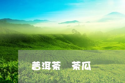 普洱茶 茶瓜/2023042815254